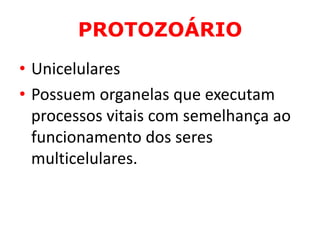 PROTOZOÁRIO
• Unicelulares
• Possuem organelas que executam
processos vitais com semelhança ao
funcionamento dos seres
multicelulares.
 