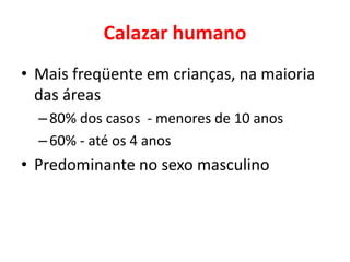 Calazar humano
• Mais freqüente em crianças, na maioria
das áreas
–80% dos casos - menores de 10 anos
–60% - até os 4 anos
• Predominante no sexo masculino
 