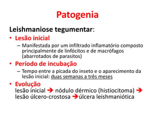 Patogenia
Leishmaniose tegumentar:
• Lesão inicial
– Manifestada por um infiltrado inflamatório composto
principalmente de linfócitos e de macrófagos
(abarrotados de parasitos)
• Período de incubação
– Tempo entre a picada do inseto e o aparecimento da
lesão inicial: duas semanas a três meses
• Evolução
lesão inicial  nódulo dérmico (histiocitoma) 
lesão úlcero-crostosa úlcera leishmaniótica
 
