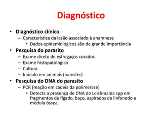 Diagnóstico
• Diagnóstico clínico
– Característica da lesão associado à anamnese
• Dados epidemiológicos são de grande importância
• Pesquisa do parasito
– Exame direto de esfregaços corados
– Exame histopatológico
– Cultura
– Inóculo em animais (hamster)
• Pesquisa do DNA do parasito
– PCR (reação em cadeia da polimerase)
• Detecta a presença de DNA de Leishmania spp em
fragmentos de fígado, baço, aspirados de linfonodo e
medula óssea.
 