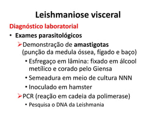 Leishmaniose visceral
Diagnóstico laboratorial
• Exames parasitológicos
Demonstração de amastigotas
(punção da medula óssea, fígado e baço)
• Esfregaço em lâmina: fixado em álcool
metílico e corado pelo Giensa
• Semeadura em meio de cultura NNN
• Inoculado em hamster
PCR (reação em cadeia da polimerase)
• Pesquisa o DNA da Leishmania
 