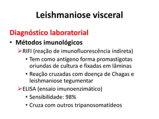 Leishmaniose visceral
Diagnóstico laboratorial
• Métodos imunológicos
RIFI (reação de imunofluorescência indireta)
• Tem como antígeno forma promastígotas
oriundas de cultura e fixadas em lâminas
• Reação cruzadas com doença de Chagas e
leishmaniose tegumentar
ELISA (ensaio imunoenzimático)
• Sensibilidade: 98%
• Cruza com outros tripanosomatídeos
 