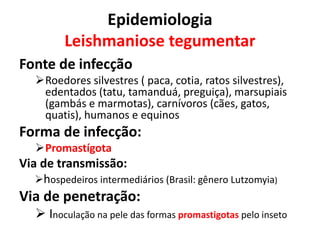 Epidemiologia
Leishmaniose tegumentar
Fonte de infecção
Roedores silvestres ( paca, cotia, ratos silvestres),
edentados (tatu, tamanduá, preguiça), marsupiais
(gambás e marmotas), carnívoros (cães, gatos,
quatis), humanos e equinos
Forma de infecção:
Promastígota
Via de transmissão:
hospedeiros intermediários (Brasil: gênero Lutzomyia)
Via de penetração:
 Inoculação na pele das formas promastigotas pelo inseto
 