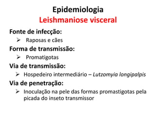 Epidemiologia
Leishmaniose visceral
Fonte de infecção:
 Raposas e cães
Forma de transmissão:
 Promatigotas
Via de transmissão:
 Hospedeiro intermediário – Lutzomyia longipalpis
Via de penetração:
 Inoculação na pele das formas promastigotas pela
picada do inseto transmissor
 