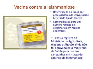 Vacina contra a leishmaniose
• Desenvolvida no Brasil por
pesquisadores da Universidade
Federal do Rio de Janeiro
• Comercializada para um
número restrito de
veterinários em regiões
endêmicas.
 Possui registro no
Ministério da Agricultura,
mas sua utilização ainda não
foi aprovada pelo Ministério
da Saúde para uso em
campanhas em massa de
controle da leishmaniose.
 