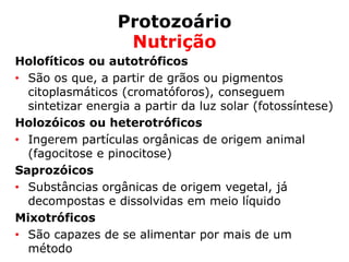 Protozoário
Nutrição
Holofíticos ou autotróficos
• São os que, a partir de grãos ou pigmentos
citoplasmáticos (cromatóforos), conseguem
sintetizar energia a partir da luz solar (fotossíntese)
Holozóicos ou heterotróficos
• Ingerem partículas orgânicas de origem animal
(fagocitose e pinocitose)
Saprozóicos
• Substâncias orgânicas de origem vegetal, já
decompostas e dissolvidas em meio líquido
Mixotróficos
• São capazes de se alimentar por mais de um
método
 