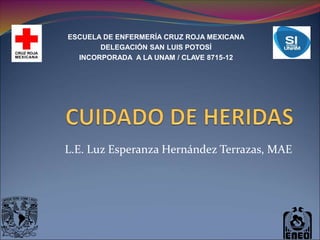 L.E. Luz Esperanza Hernández Terrazas, MAE
ESCUELA DE ENFERMERÍA CRUZ ROJA MEXICANA
DELEGACIÓN SAN LUIS POTOSÍ
INCORPORADA A LA UNAM / CLAVE 8715-12
 