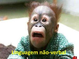 Linguagem não-verbal
 