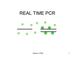 1
REAL TIME PCR
Wajana L (PhD)
 