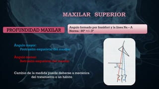3. CEFALOMETRIA DE RICKETTS RESUMIDO.pdf