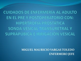 MIGUEL MAURICIO VARGAS TOLEDO
ENFERMERO JEFE
 