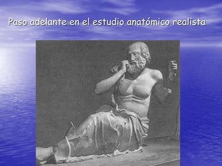 Paso adelante en el estudio anatómico realista
 