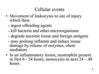 Inflammatory Activity 3. Inflammation.ppt