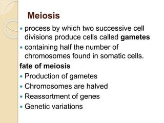 Meiosis
 process by which two successive cell
divisions produce cells called gametes
 containing half the number of
chromosomes found in somatic cells.
fate of meiosis
 Production of gametes
 Chromosomes are halved
 Reassortment of genes
 Genetic variations
 