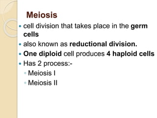 Meiosis
 cell division that takes place in the germ
cells
 also known as reductional division.
 One diploid cell produces 4 haploid cells
 Has 2 process:-
◦ Meiosis I
◦ Meiosis II
 