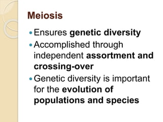 Meiosis
Ensures genetic diversity
Accomplished through
independent assortment and
crossing-over
Genetic diversity is important
for the evolution of
populations and species
 