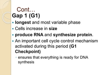Cont…
Gap 1 (G1)
 longest and most variable phase
 Cells increase in size
 produce RNA and synthesize protein.
 An important cell cycle control mechanism
activated during this period (G1
Checkpoint)
◦ ensures that everything is ready for DNA
synthesis
 