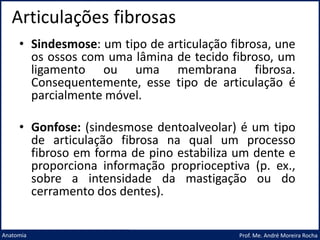 Articulações fibrosas
Prof. Me. André Moreira Rocha
Anatomia
• Sindesmose: um tipo de articulação fibrosa, une
os ossos com uma lâmina de tecido fibroso, um
ligamento ou uma membrana fibrosa.
Consequentemente, esse tipo de articulação é
parcialmente móvel.
• Gonfose: (sindesmose dentoalveolar) é um tipo
de articulação fibrosa na qual um processo
fibroso em forma de pino estabiliza um dente e
proporciona informação proprioceptiva (p. ex.,
sobre a intensidade da mastigação ou do
cerramento dos dentes).
 