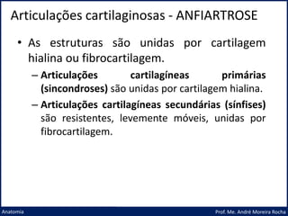 Articulações cartilaginosas - ANFIARTROSE
Prof. Me. André Moreira Rocha
Anatomia
• As estruturas são unidas por cartilagem
hialina ou fibrocartilagem.
– Articulações cartilagíneas primárias
(sincondroses) são unidas por cartilagem hialina.
– Articulações cartilagíneas secundárias (sínfises)
são resistentes, levemente móveis, unidas por
fibrocartilagem.
 