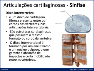 Articulações cartilaginosas - Sínfise
Prof. Me. André Moreira Rocha
Anatomia
Disco intervertebral
• é um disco de cartilagem
fibrosa presente entre os
corpos das vértebras, nas
articulações intervertebrais.
• São estruturas cartilaginosas
que possuem o mesmo
formato do corpo da vértebra.
• O disco intervertebral é
formado por um anel fibroso
e um núcleo pulposo, o que
garante a absorção de
impactos e certa mobilidade
entre as vértebras.
 