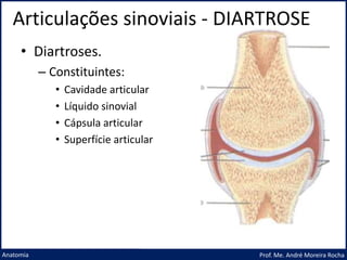 Articulações sinoviais - DIARTROSE
Prof. Me. André Moreira Rocha
Anatomia
• Diartroses.
– Constituintes:
• Cavidade articular
• Líquido sinovial
• Cápsula articular
• Superfície articular
 