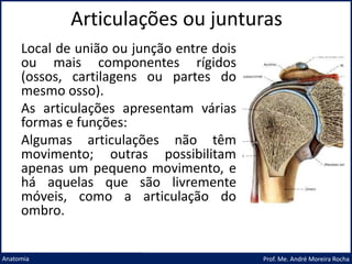 Articulações ou junturas
Prof. Me. André Moreira Rocha
Anatomia
Local de união ou junção entre dois
ou mais componentes rígidos
(ossos, cartilagens ou partes do
mesmo osso).
As articulações apresentam várias
formas e funções:
Algumas articulações não têm
movimento; outras possibilitam
apenas um pequeno movimento, e
há aquelas que são livremente
móveis, como a articulação do
ombro.
 