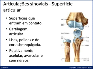 Articulações sinoviais - Superfície
articular
Prof. Me. André Moreira Rocha
Anatomia
• Superfícies que
entram em contato.
• Cartilagem
articular.
• Lisas, polidas e de
cor esbranquiçada.
• Relativamente
acelular, avascular e
sem nervos.
 