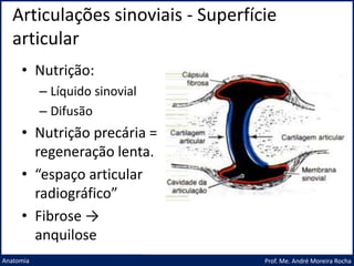 Articulações sinoviais - Superfície
articular
Prof. Me. André Moreira Rocha
Anatomia
• Nutrição:
– Líquido sinovial
– Difusão
• Nutrição precária =
regeneração lenta.
• “espaço articular
radiográfico”
• Fibrose →
anquilose
 