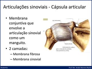 Articulações sinoviais - Cápsula articular
Prof. Me. André Moreira Rocha
Anatomia
• Membrana
conjuntiva que
envolve a
articulação sinovial
como um
manguito.
• 2 camadas:
– Membrana fibrosa
– Membrana sinovial
 