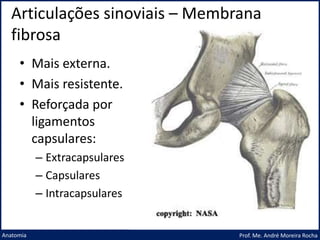 Articulações sinoviais – Membrana
fibrosa
Prof. Me. André Moreira Rocha
Anatomia
• Mais externa.
• Mais resistente.
• Reforçada por
ligamentos
capsulares:
– Extracapsulares
– Capsulares
– Intracapsulares
 