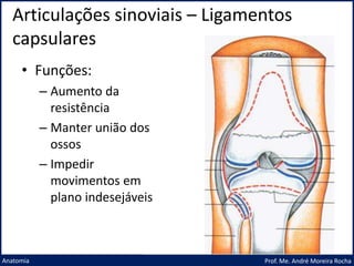 Articulações sinoviais – Ligamentos
capsulares
Prof. Me. André Moreira Rocha
Anatomia
• Funções:
– Aumento da
resistência
– Manter união dos
ossos
– Impedir
movimentos em
plano indesejáveis
 
