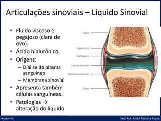 Articulações sinoviais – Líquido Sinovial
Prof. Me. André Moreira Rocha
Anatomia
• Fluido viscoso e
pegajoso (clara de
ovo).
• Ácido hialurônico.
• Origens:
– Diálise do plasma
sanguíneo
– Membrana sinovial
• Apresenta também
células sanguíneas.
• Patologias →
alteração do líquido
 