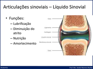 Articulações sinoviais – Líquido Sinovial
Prof. Me. André Moreira Rocha
Anatomia
• Funções:
– Lubrificação
– Diminuição do
atrito
– Nutrição
– Amortecimento
 