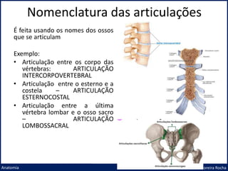 Nomenclatura das articulações
Prof. Me. André Moreira Rocha
Anatomia
É feita usando os nomes dos ossos
que se articulam
Exemplo:
• Articulação entre os corpo das
vértebras: ARTICULAÇÃO
INTERCORPOVERTEBRAL
• Articulação entre o esterno e a
costela – ARTICULAÇÃO
ESTERNOCOSTAL
• Articulação entre a última
vértebra lombar e o osso sacro
– ARTICULAÇÃO
LOMBOSSACRAL
 