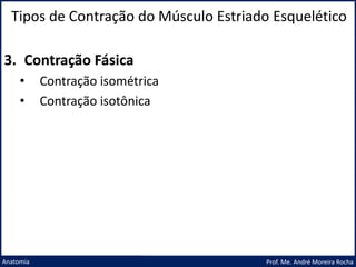 Tipos de Contração do Músculo Estriado Esquelético
Prof. Me. André Moreira Rocha
Anatomia
3. Contração Fásica
• Contração isométrica
• Contração isotônica
 