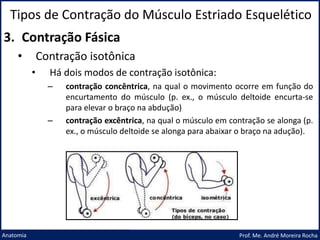 Tipos de Contração do Músculo Estriado Esquelético
Prof. Me. André Moreira Rocha
Anatomia
3. Contração Fásica
• Contração isotônica
• Há dois modos de contração isotônica:
– contração concêntrica, na qual o movimento ocorre em função do
encurtamento do músculo (p. ex., o músculo deltoide encurta-se
para elevar o braço na abdução)
– contração excêntrica, na qual o músculo em contração se alonga (p.
ex., o músculo deltoide se alonga para abaixar o braço na adução).
 