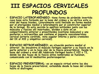 III ESPACIOS CERVICALES
PROFUNDOS
• ESPACIO LATEROFARÍNGEO: tiene forma de pirámide invertida
cuya base esta formada por la base del cráneo y su vértice esta a
nivel del hueso hioides. Lateralmente está limitado en forma medial
por el pterigoideo medial y lateralmente por el constrictor superior
de la laringe. En esta sección la apófisis estiloides junto con los
músculos y fascias allí insertados, dividen a éste en un
compartimiento anterior o preestiloideo (contiene músculos) y uno
posterior o retroestíleo que contiene el paquete vasculonervioso
cervical (arteria carótida, vena yugular interna y pares craneales
del IX al XII y simpático cervical).
• ESPACIO RETROFARÍNGEO: en situación postero medial al
anterior. Se encuentra el músculo faríngeo superior y su fascia en la
parte anterior y en la hoja alar de la fascia prevertebral. Desde la
base del cráneo a nivel del tubérculo faríngeo hasta C VII o TI,
donde las dos hojas de la fascia antes nombradas se fusionan,
comunicando con el mediastino posterosuperior.
• ESPACIO PREVERTEBRAL: es un espacio virtual entre las dos
hojas de la fascia prevertebral, extendida desde la base del cráneo
hasta el diafragma.
 