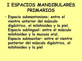 I ESPACIOS MANDIBULARES
PRIMARIOS
• Espacio submentoniano: entre el
vientre anterior del músculo
digástrico, el milohioideo y la piel.
Espacio sublingual: entre el músculo
milohioideo y la mucosa oral.
Espacio submaxilar: entre el vientre
posterior del músculo digástrico, el
milohioideo y la piel
 