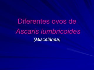 Diferentes ovos de
Ascaris lumbricoides
(Miscelânea)
 