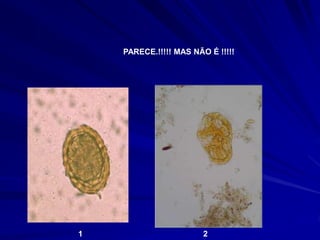 PARECE.!!!!! MAS NÃO É !!!!!
1 2
 