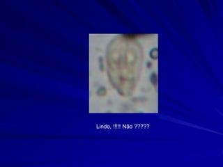 Lindo, !!!!! Não ?????
 