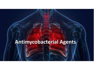 Antimycobacterial Agents
 