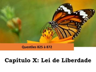 Questões 825 à 872
Capítulo X: Lei de Liberdade
 