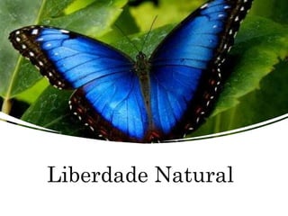 Liberdade Natural
 