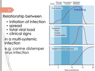 3. Pathogenesis of Viral Infections and Diseases.pdf