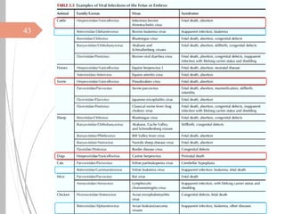 3. Pathogenesis of Viral Infections and Diseases.pdf