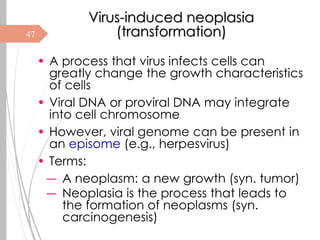 Virus Transformation 3. Pathogenesis of Viral Infections and Diseases.pdf