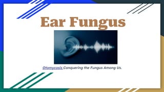 Ear Fungus
Otomycosis Conquering the Fungus Among Us.
 