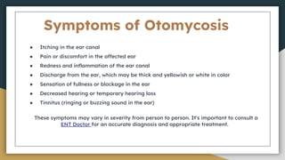 Symptoms of Otomycosis
● Itching in the ear canal
● Pain or discomfort in the affected ear
● Redness and inflammation of the ear canal
● Discharge from the ear, which may be thick and yellowish or white in color
● Sensation of fullness or blockage in the ear
● Decreased hearing or temporary hearing loss
● Tinnitus (ringing or buzzing sound in the ear)
These symptoms may vary in severity from person to person. It's important to consult a
ENT Doctor for an accurate diagnosis and appropriate treatment.
 