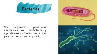 3. Generalidades de la bacteriología.pptx